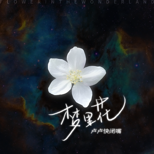 嗯～啊～乖～进去了～h～乖雷安
